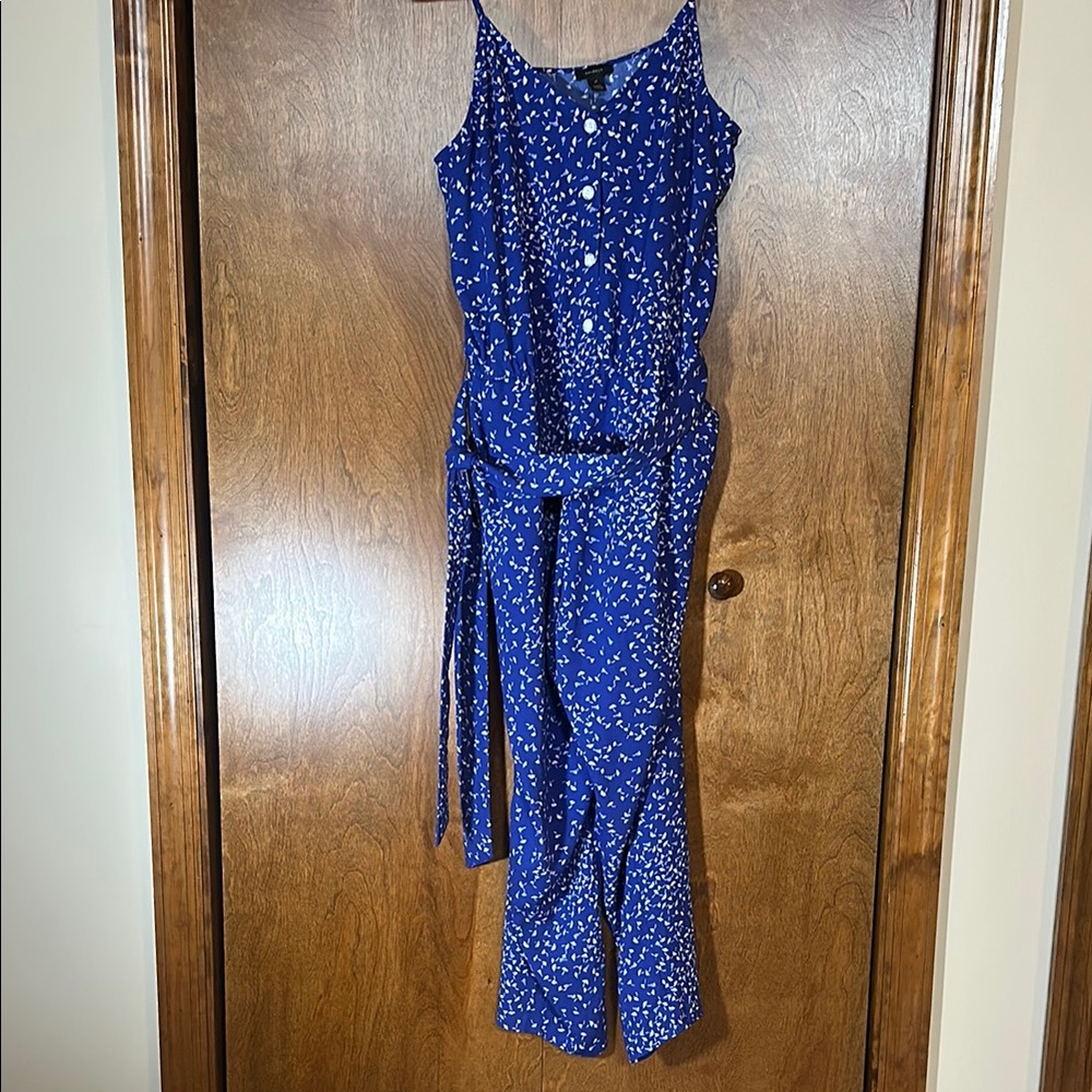 Halogen Blue and White Jumpsuit